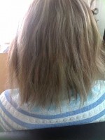 /album/fotogalerie/pred-prodlouzenim/